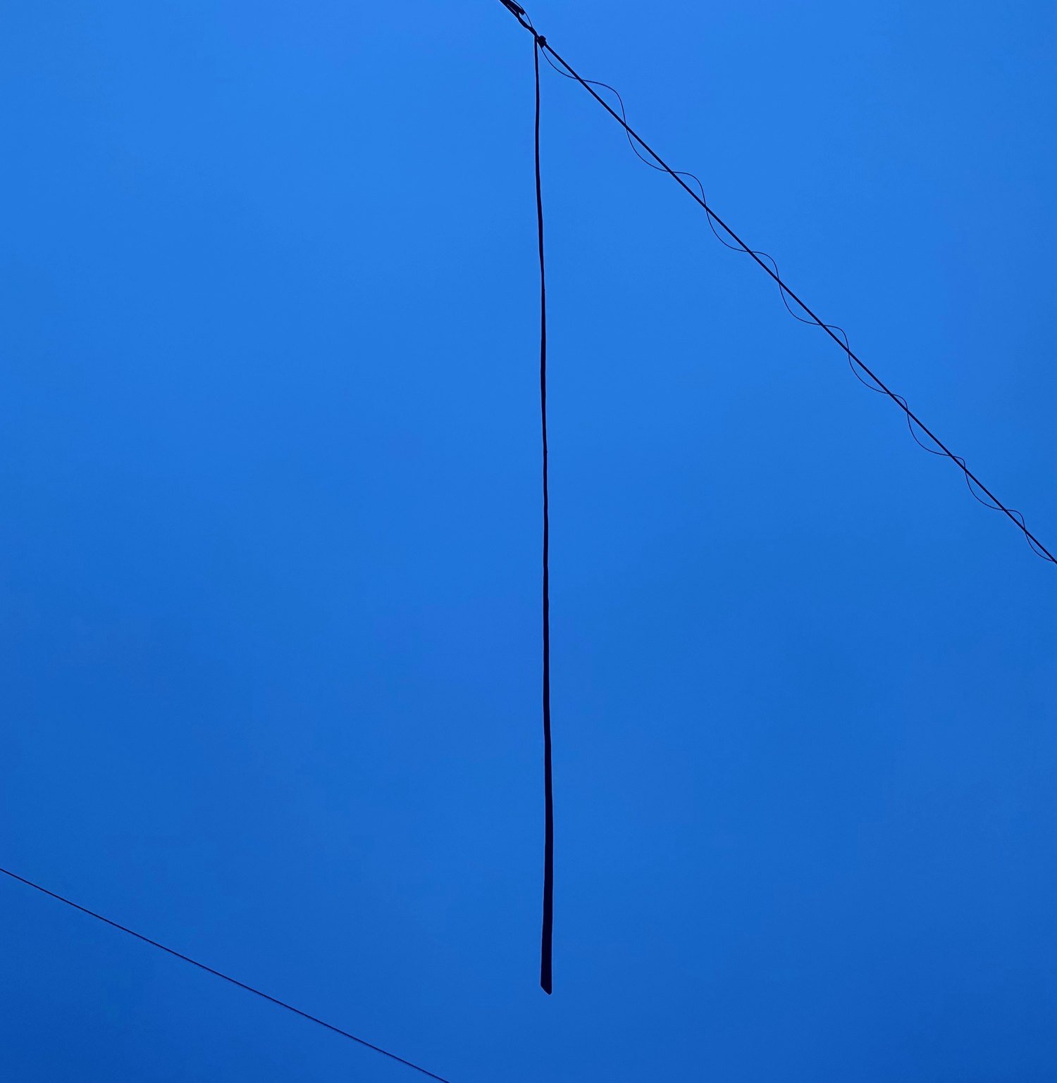 A single dark strap hanging straight down from a wire against a deep blue evening sky, a second wire crossing the corner